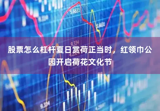 股票怎么杠杆夏日赏荷正当时，红领巾公园开启荷花文化节