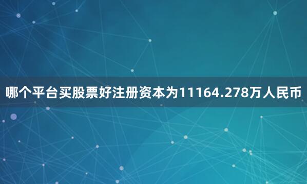 哪个平台买股票好注册资本为11164.278万人民币